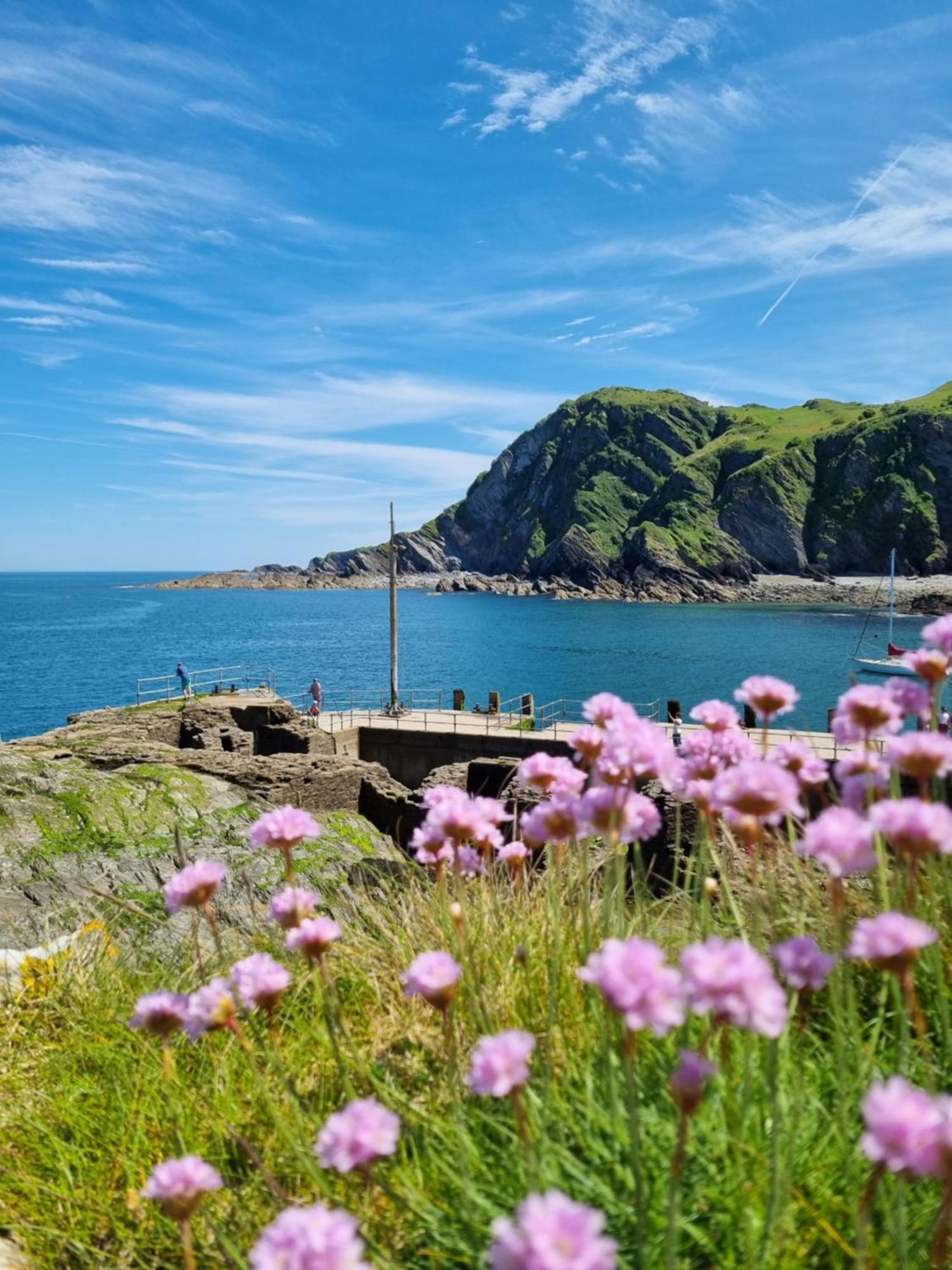 Kittiwake Apartment Ilfracombe Exterior photo